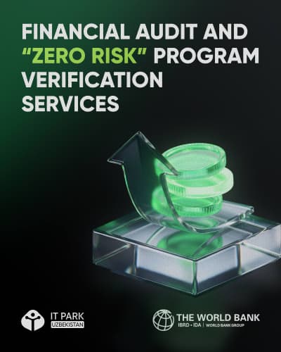 Financial audit and “Zero Risk” program verification services