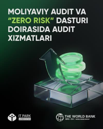 Финансовый аудит и аудиторские услуги в рамках программы «Zero Risk»