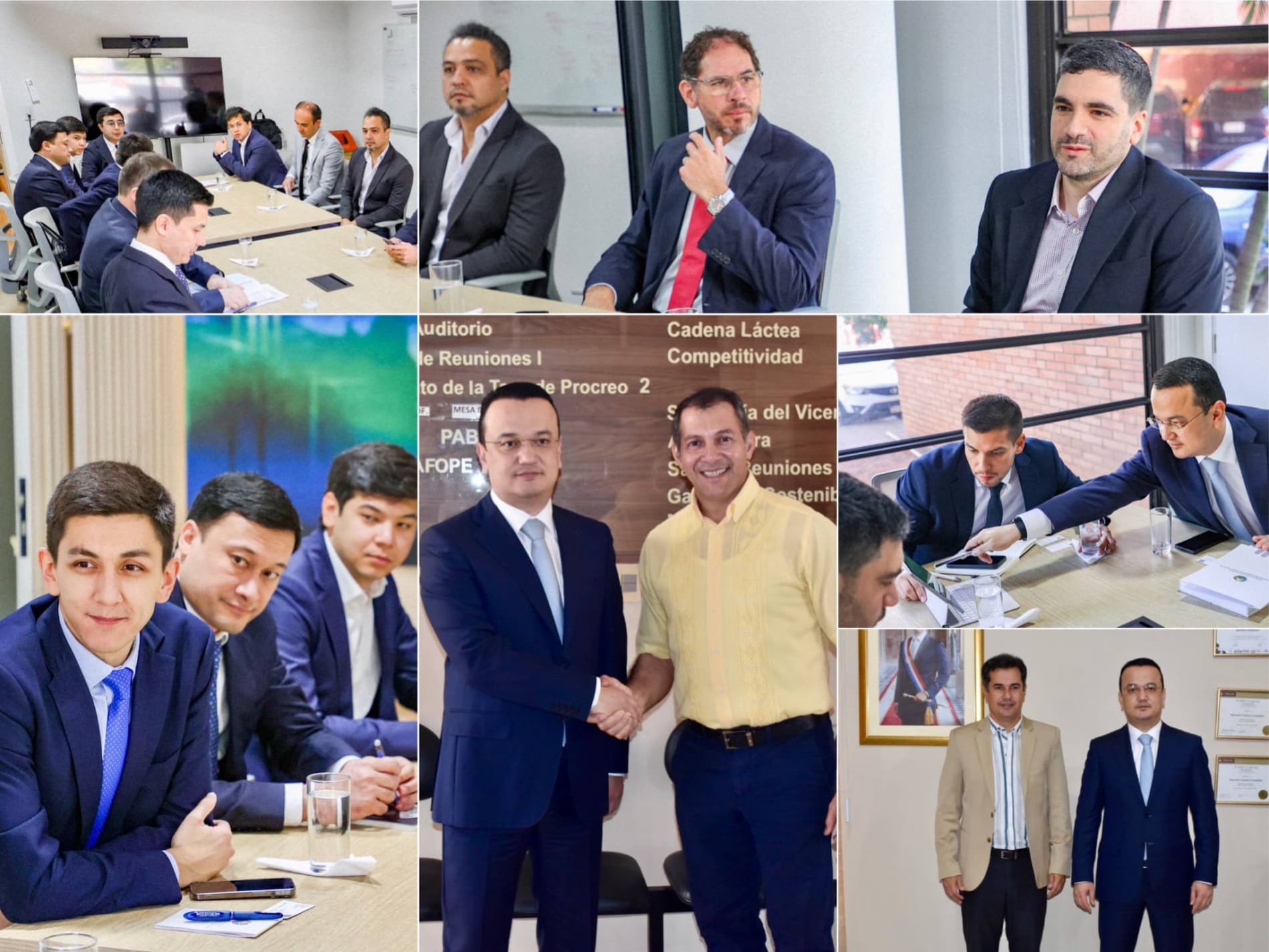 Встреча с министрами и главой Национального управления электроэнергетики (ANDE) Республику Парагвай