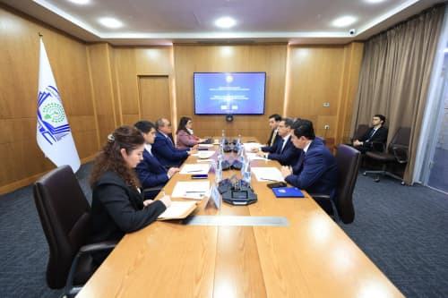 Международное сотрудничество в сфере экологической безопасности: встреча Узбекистана с Секретариатом BRS