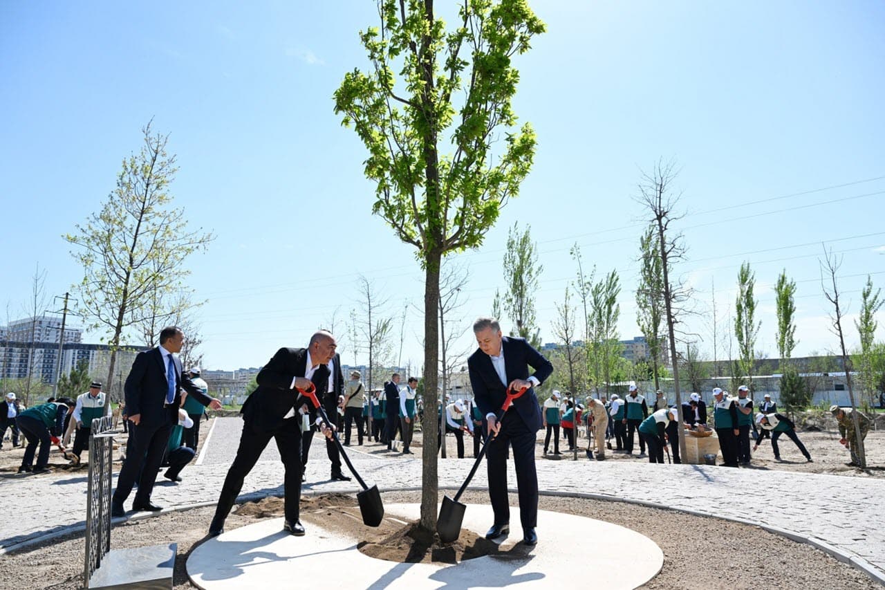 Миллий дендрология боғини барпо этишга старт берилди