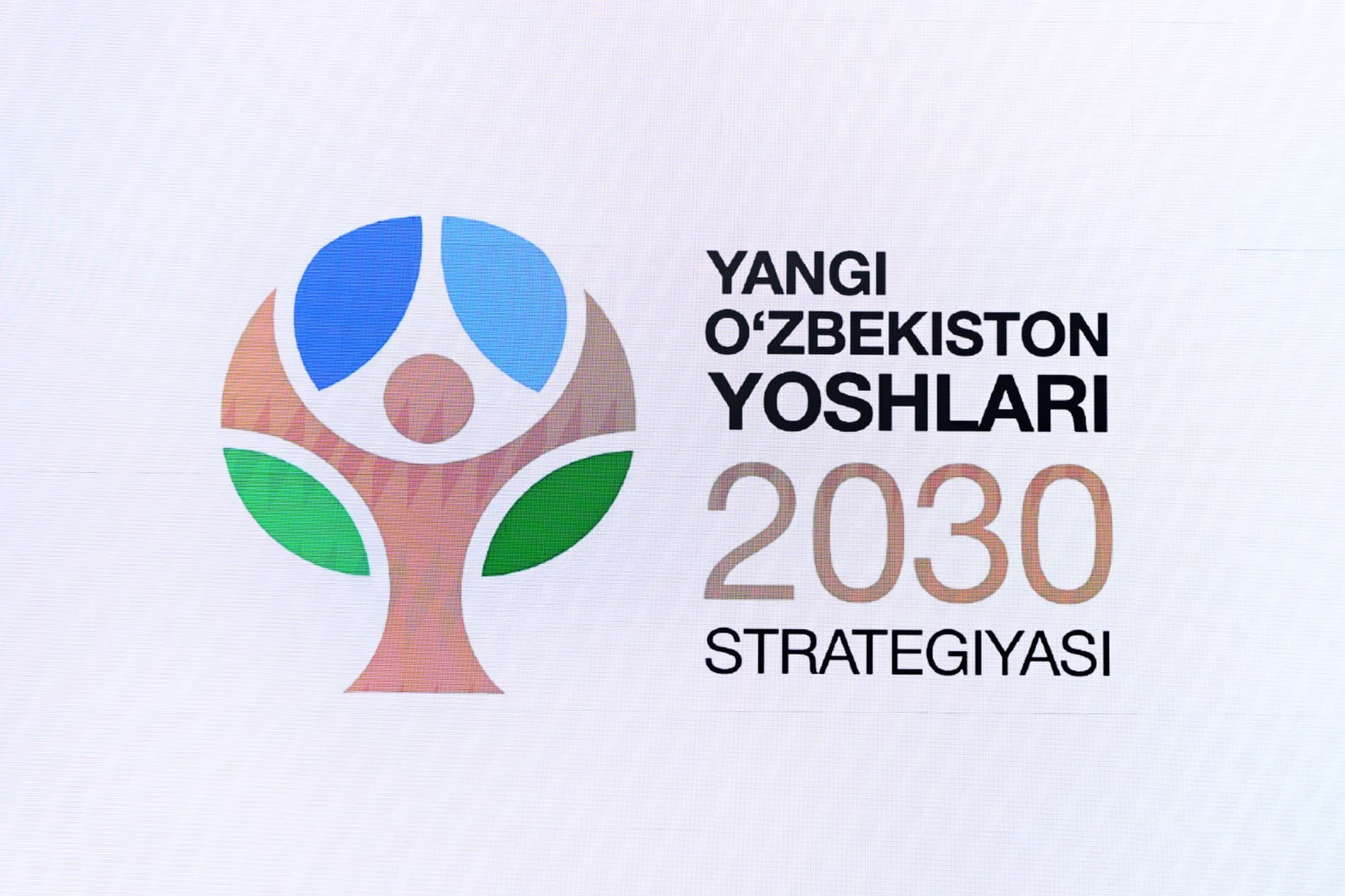 “Youth of New Uzbekistan – 2030” strategy to be implemented