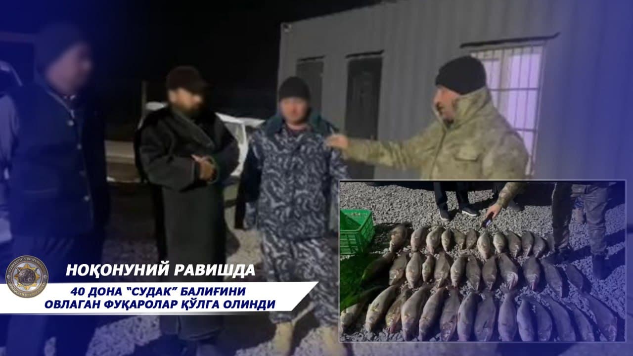 Noqonuniy baliq ovlash natijasida tabiatga 387 mln soʻm zarar yetkazgan “brakonyerlar“ qoʻlga olindi
