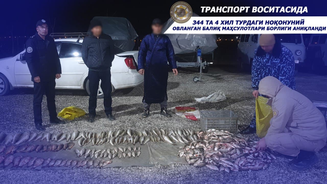 Noqonuniy baliq ovlash natijasida tabiatga 387 mln soʻm zarar yetkazgan “brakonyerlar“ qoʻlga olindi