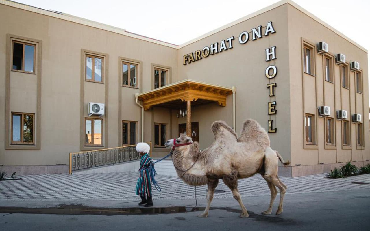 In Khorezm, 10 hotels received UZS 7.244 billion in subsidies this year