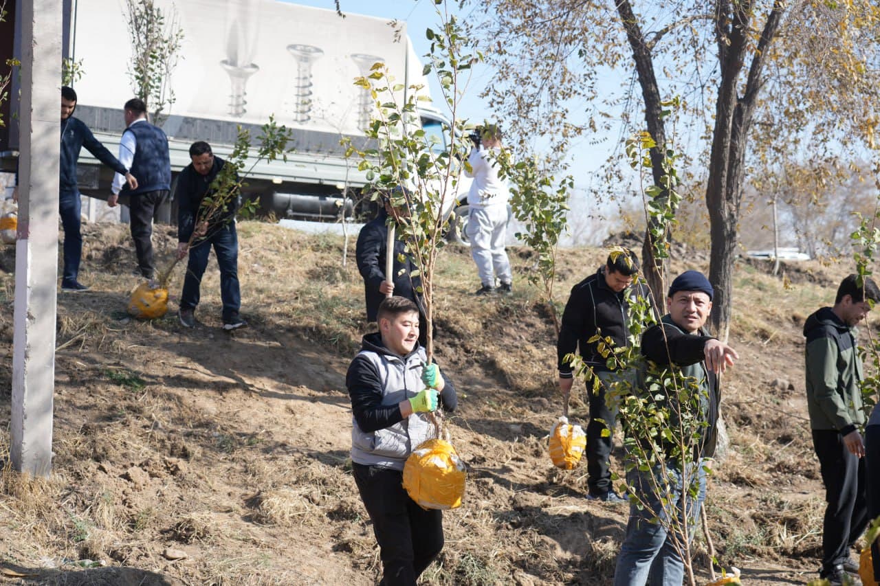 Raqamli texnologiyalar vazirligi jamoasi Ohangaronda ko‘chat ekish aksiyasini o‘tkazdi
