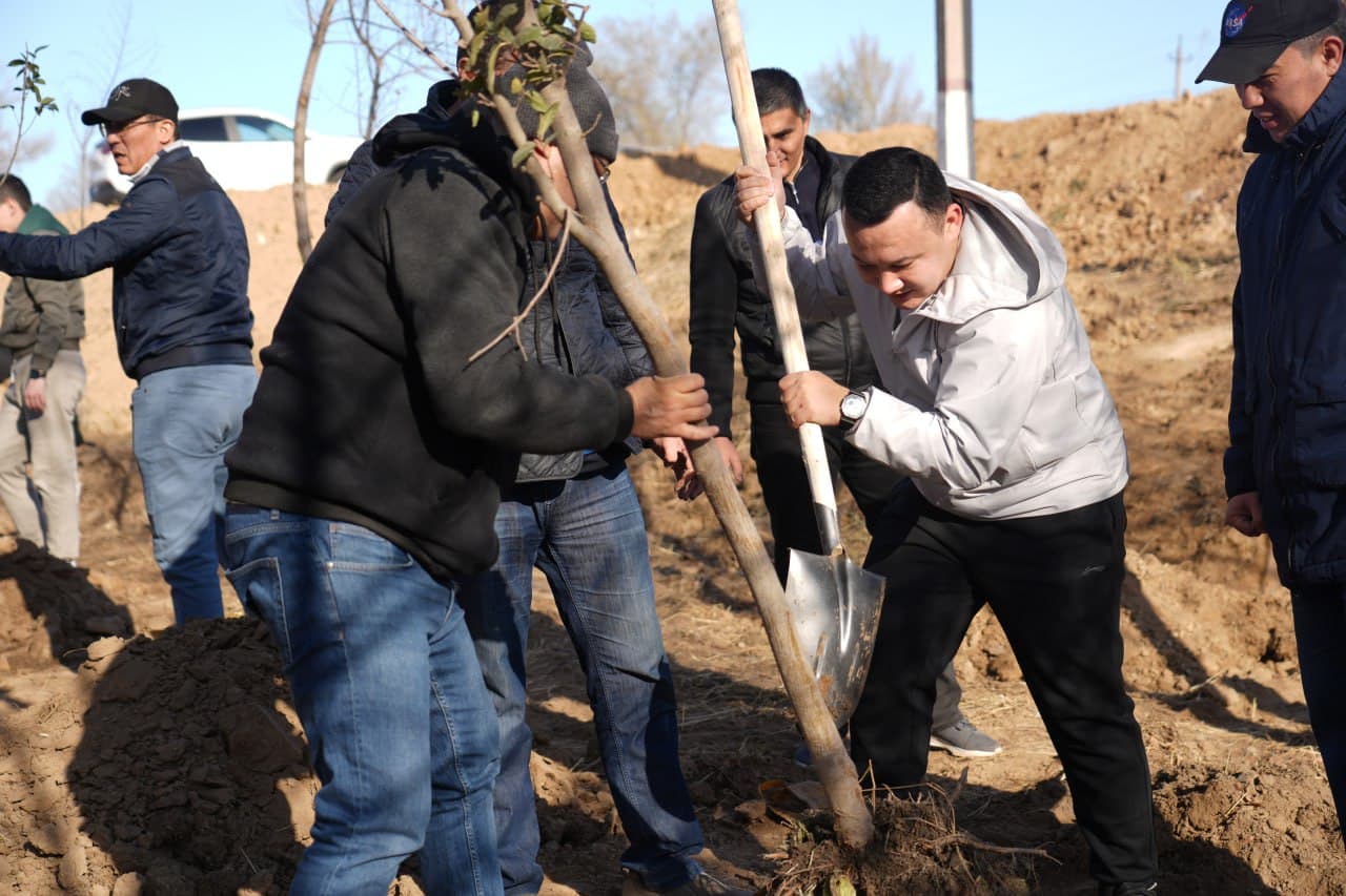Raqamli texnologiyalar vazirligi jamoasi Ohangaronda ko‘chat ekish aksiyasini o‘tkazdi