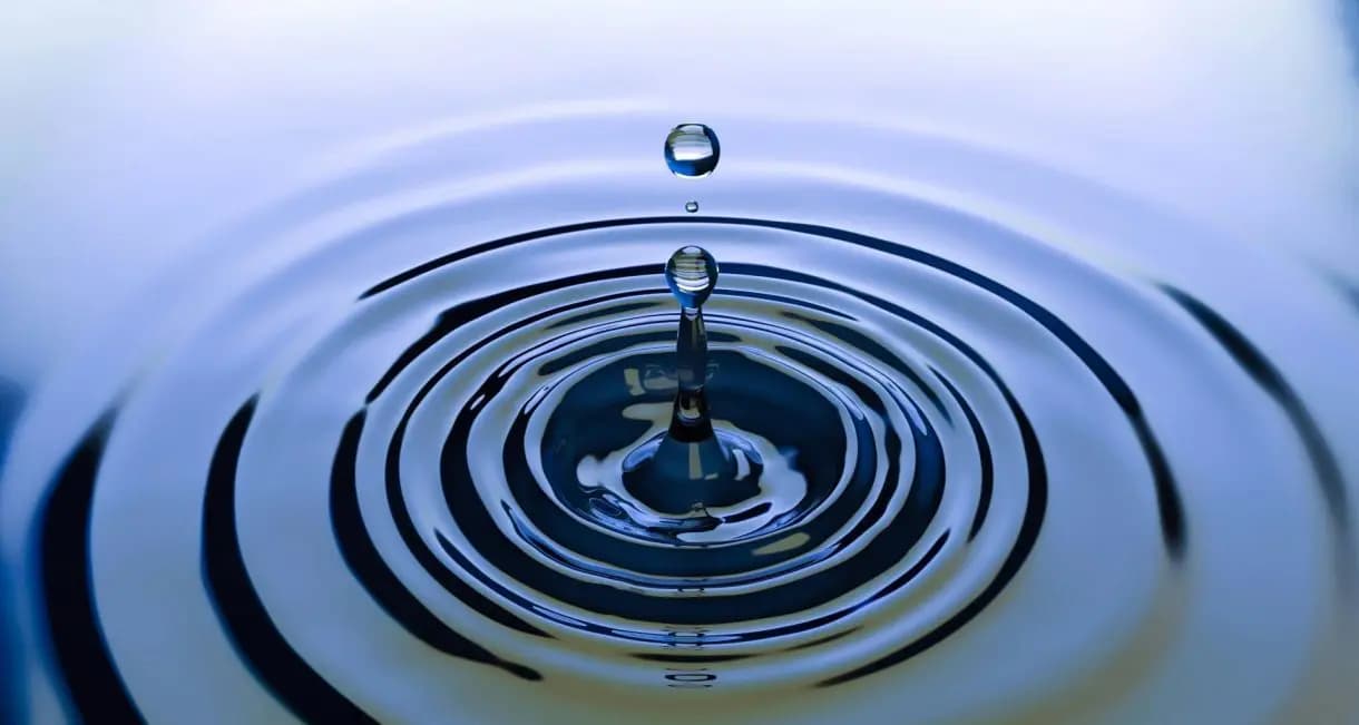 What Is “Virtual Water” and Why Does It Matter?