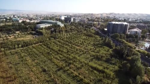 "Mening bog'im": O'zbekiston bo'ylab yangi yashil jamoat maskanlari barpo etilmoqda