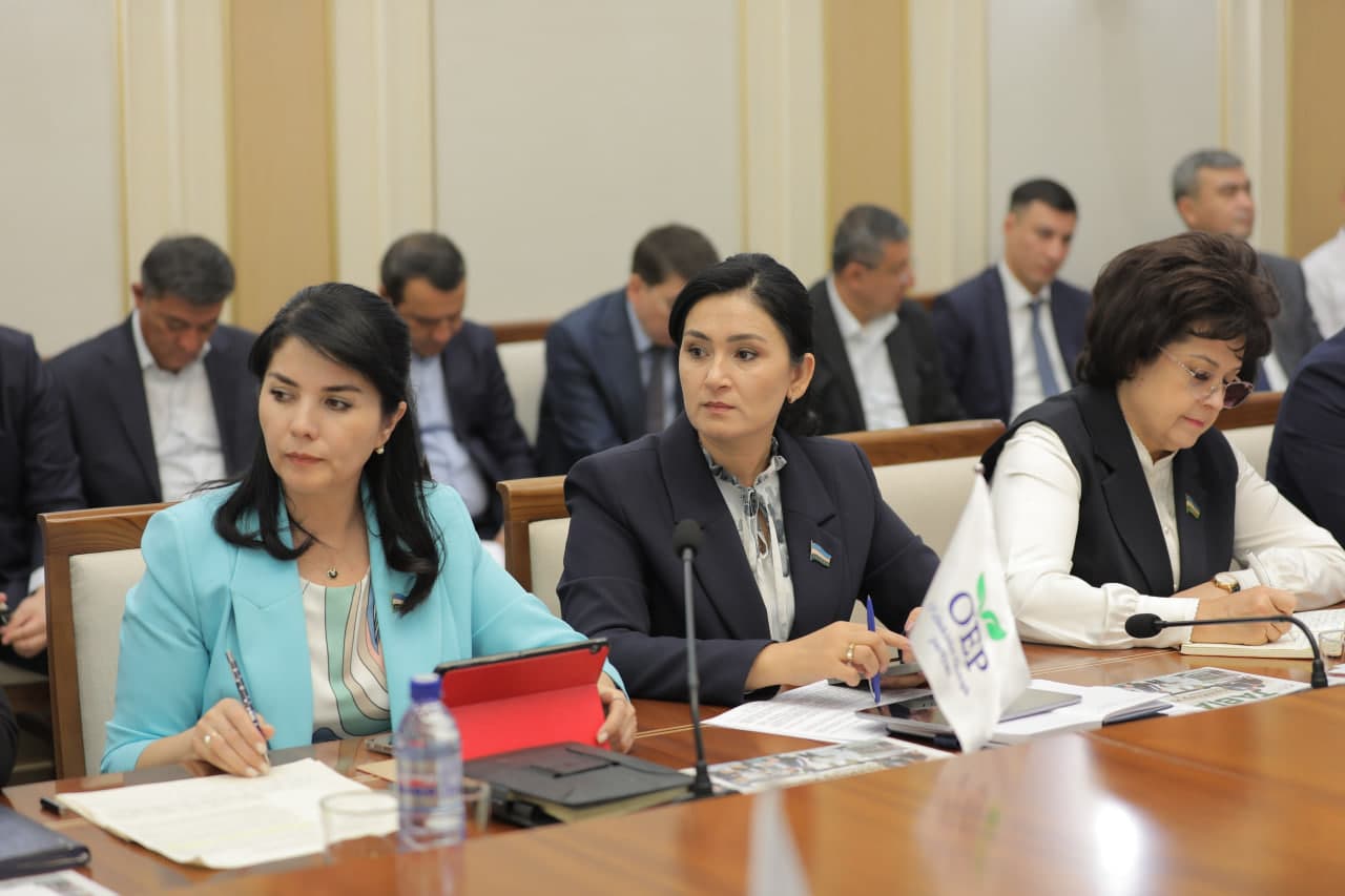 Davlat budjeti ijrosi muhokama qilindi