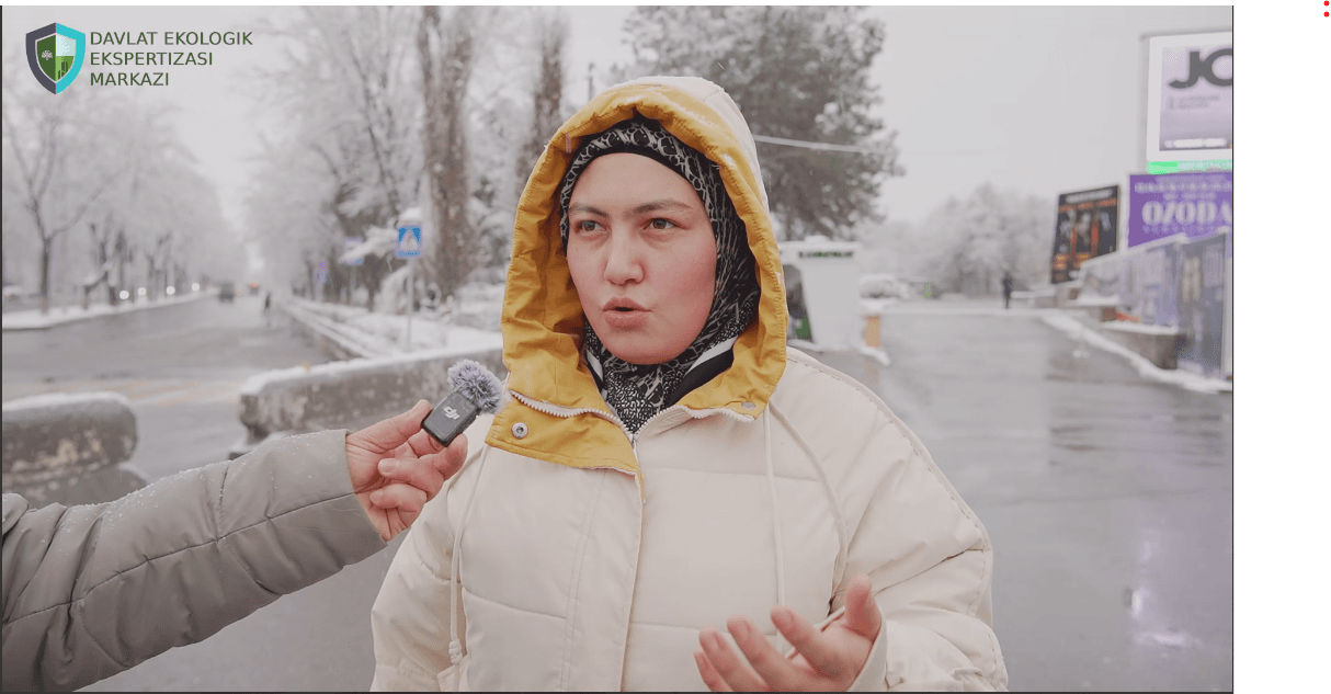 Каково общественное мнение об эко-стикерах?