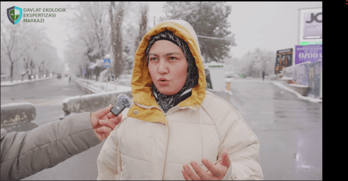 Каково общественное мнение об эко-стикерах?