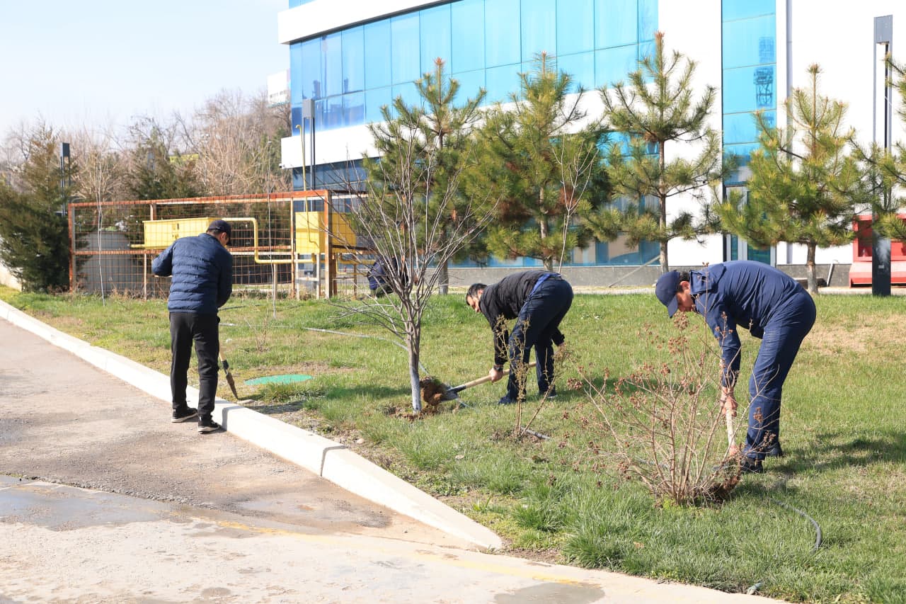 “The improvement of the nation begins, first of all, from the mahalla!”